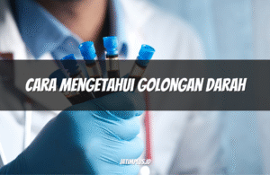 Cara Mengetahui Golongan Darah